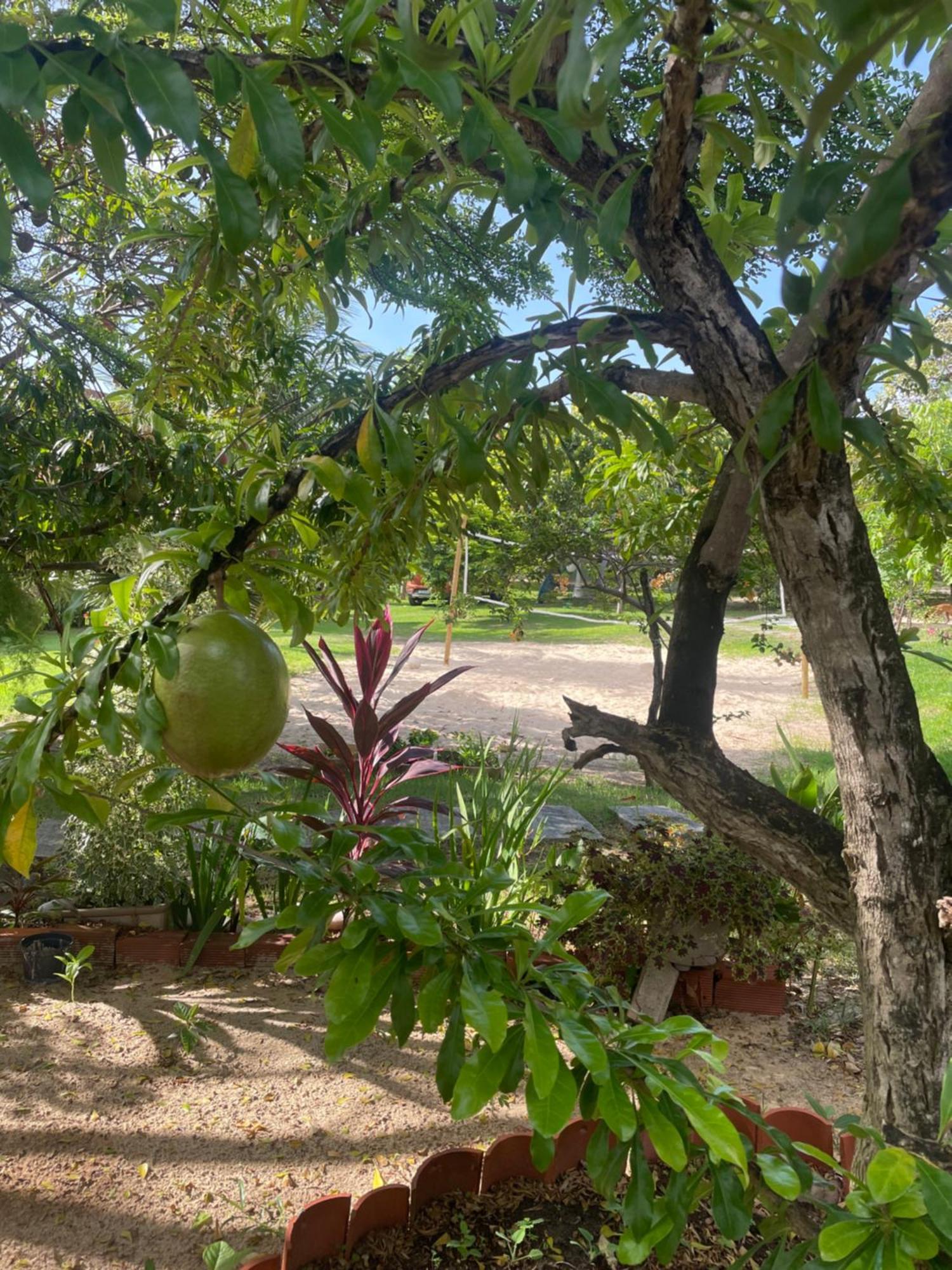 Taíba Vila Ybira מראה חיצוני תמונה